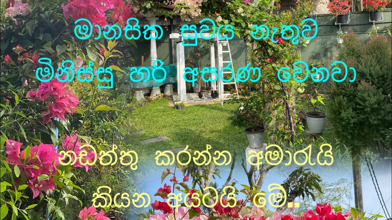 මිදුල උද්‍යානයක් කරගන්නේ කොහොමද?