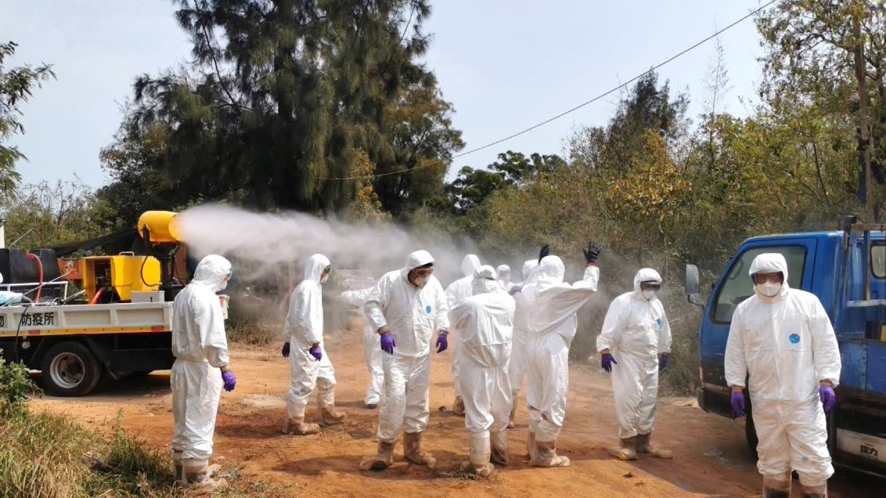 金門爆首例H9N2禽流感 禽傳人風險列21人追蹤｜20230317 公視晚間新聞