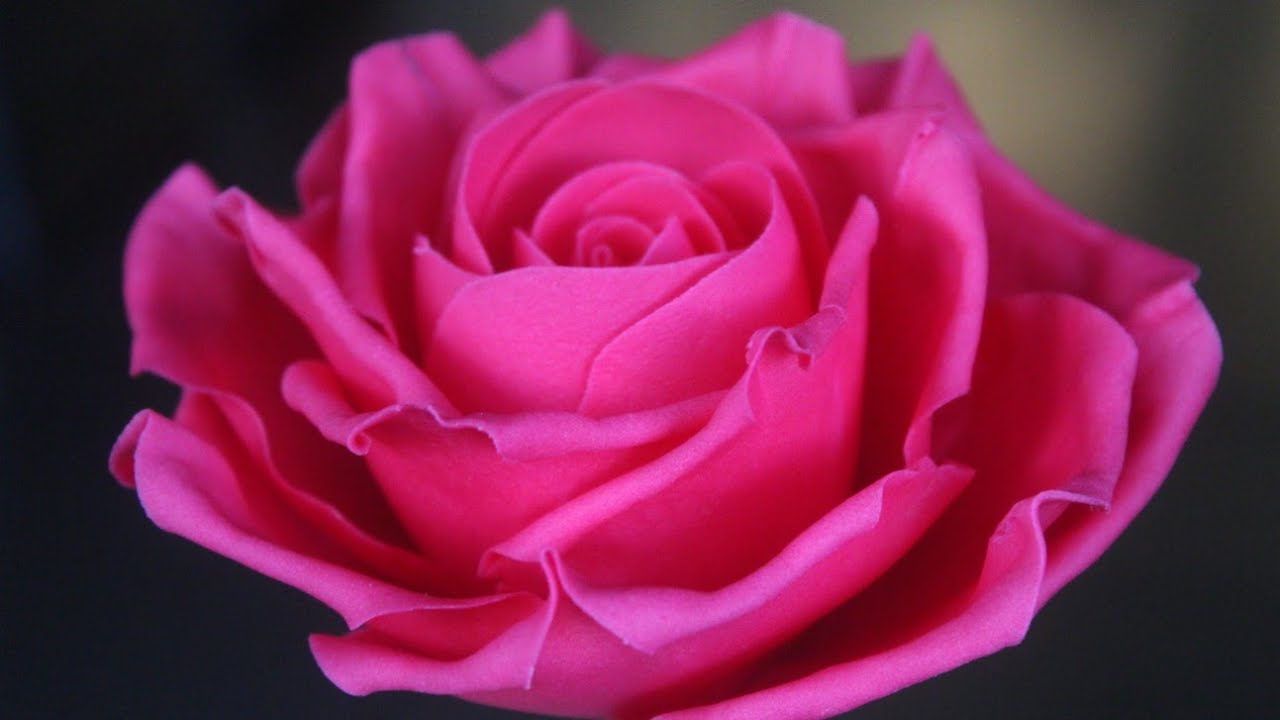 The Ultimate Sugar Tea Rose Tutorial | Master the Art of Edible Floral Elegance | Cake Decorating