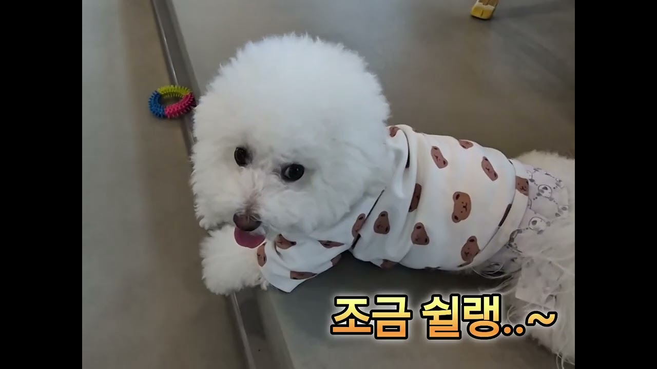 오늘 하루 잘보냈다~