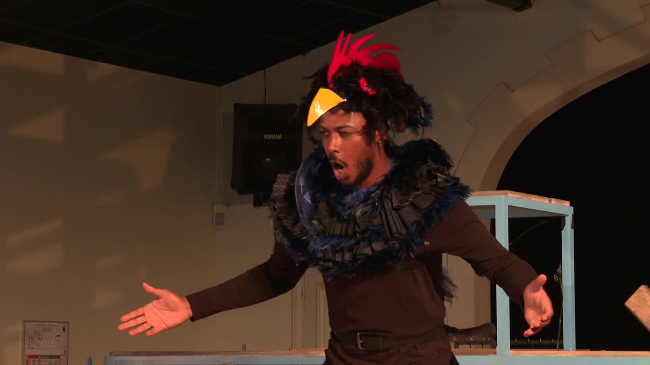 Sur l'île d'Oléron, un opéra fait revivre le coq Maurice