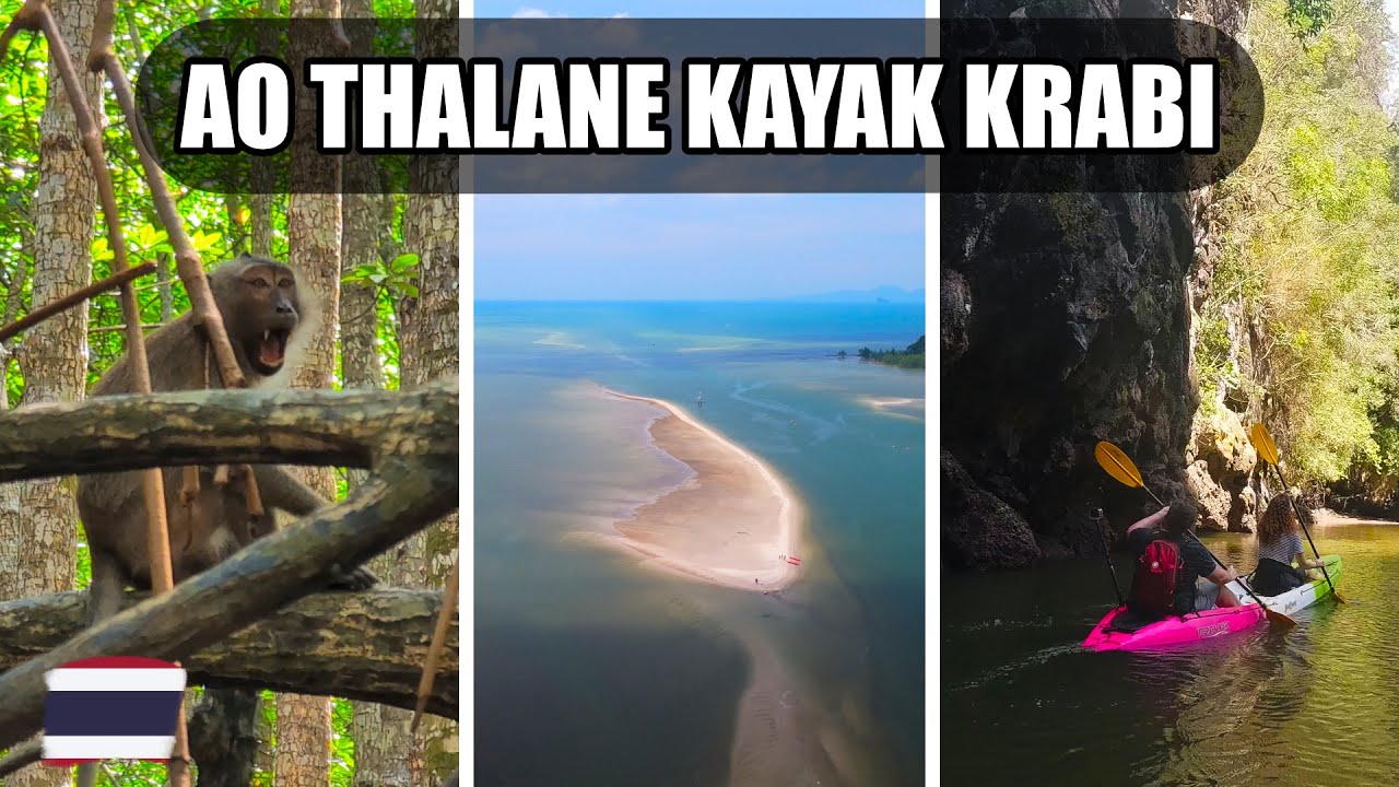 Krabi Kayaking Tour Through Mangrove Forest | Thailand