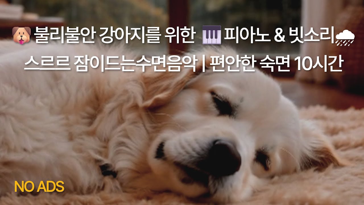 🌧🎹🐶 피아노와 비소리로 스르르 잠드는 강아지 | 숙면 힐링 사운드 10시간👉강아지와 함께 편안한 수면이 필요할때❤️ 필요할 때 다시 찾을 수 있도록 구독해 주세요😊