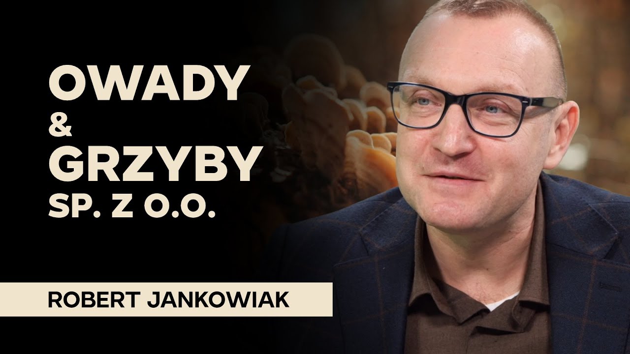 Tajemnicze związki owadów z grzybami.