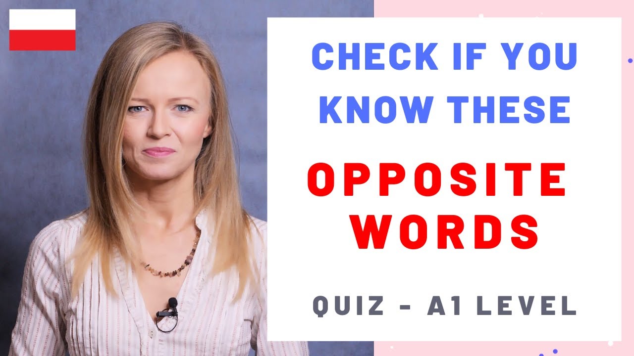 Fun Polish quiz with antonyms (basic adjectives) - A1 level