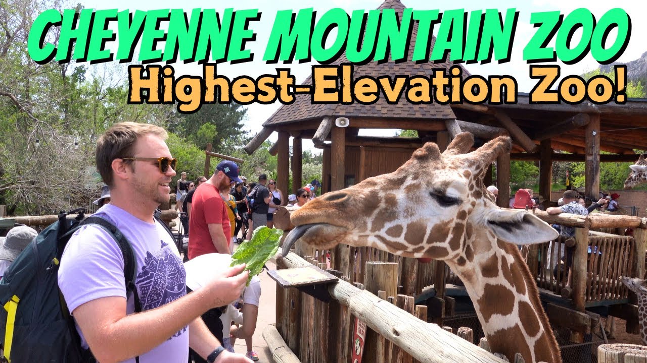 Cheyenne Mountain Zoo Highest-Elevation Zoo in North America