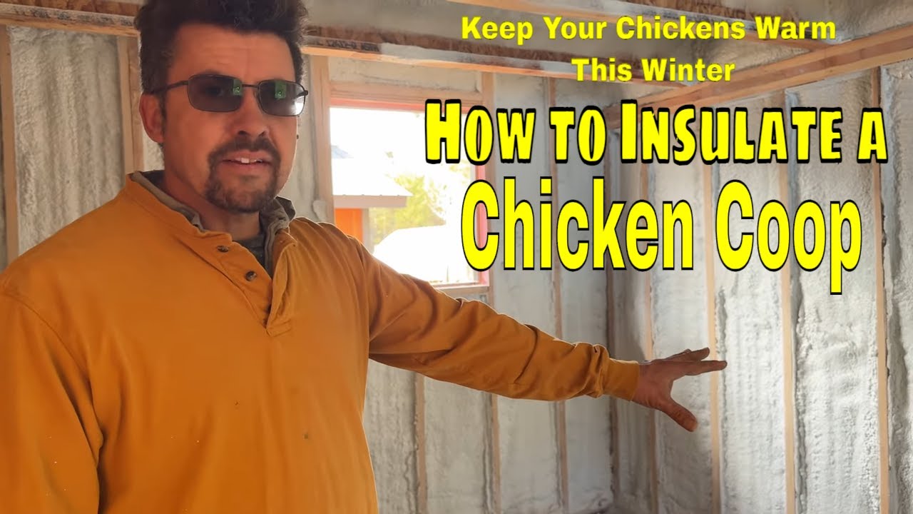DIY Chicken Coop Building & Insulation | How to Make a Cold-Proof Coop for Happy Chickens