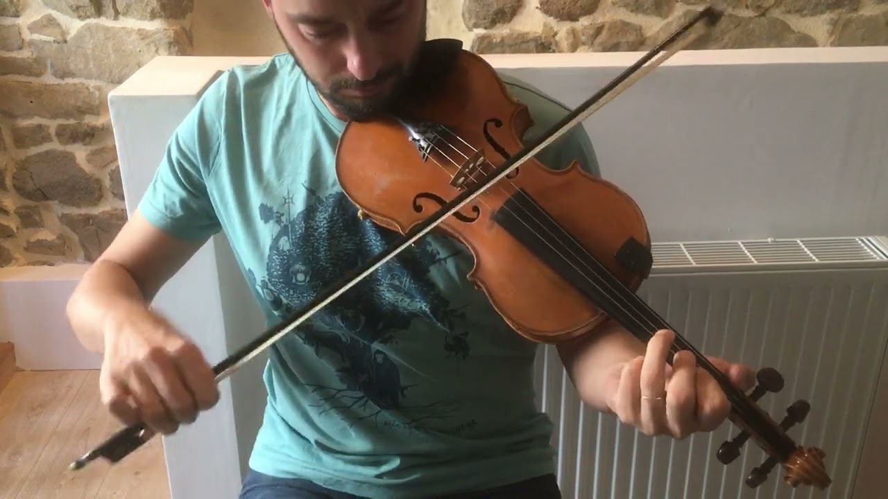 The Laurel Tree - Reel
