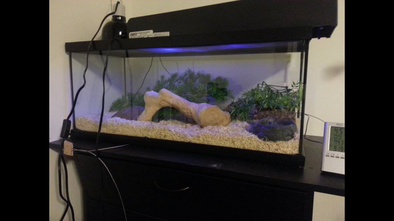 Zoo Med Snake Kit Set Up