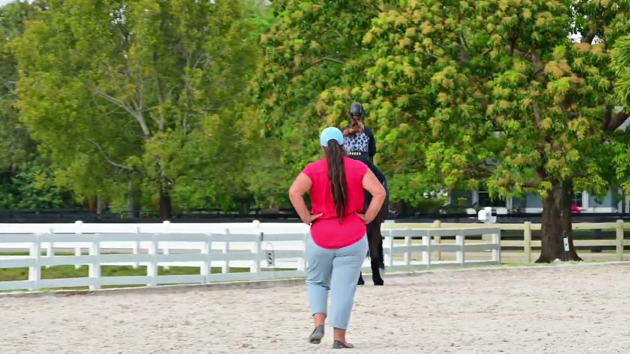 Le secret d'une bonne transition Pas Galop et Galop Pas.