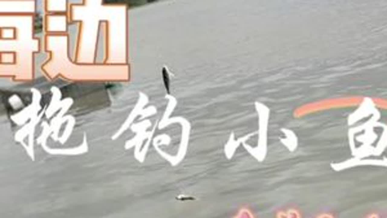 2023-10-22望楼港海边钓小鱼#钓鱼人 #钓鱼人就是这么疯狂 #爱钓鱼 #望楼港 #日常钓一钓