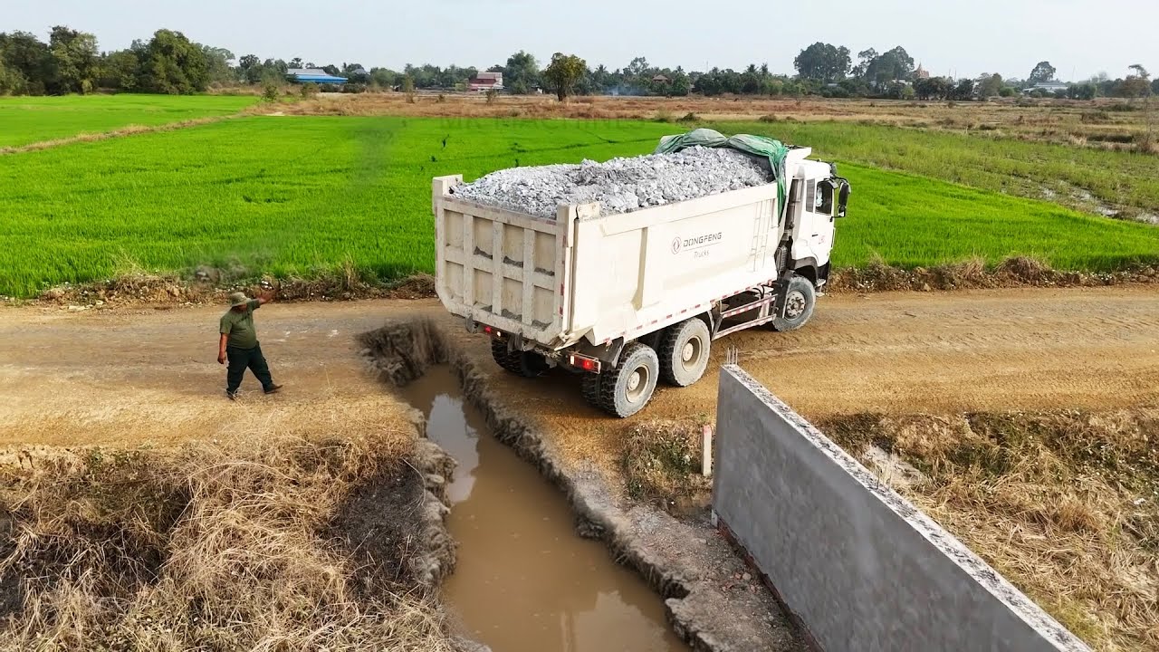 Amazing New Small project Dozer Shantui Pushing Stone, Dump Truck Dumping Stone