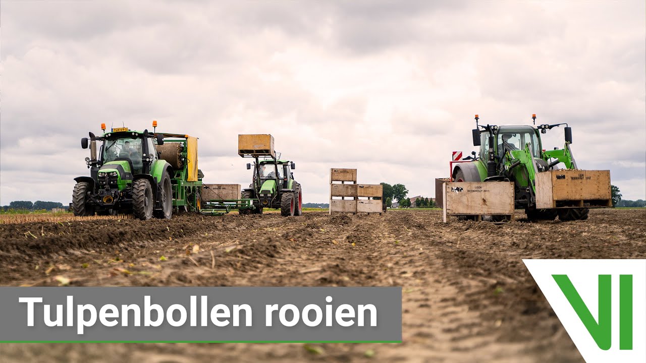 Tulpenbollen rooien 2022 | Flowerbulbs | Mts. V/d Westeringh