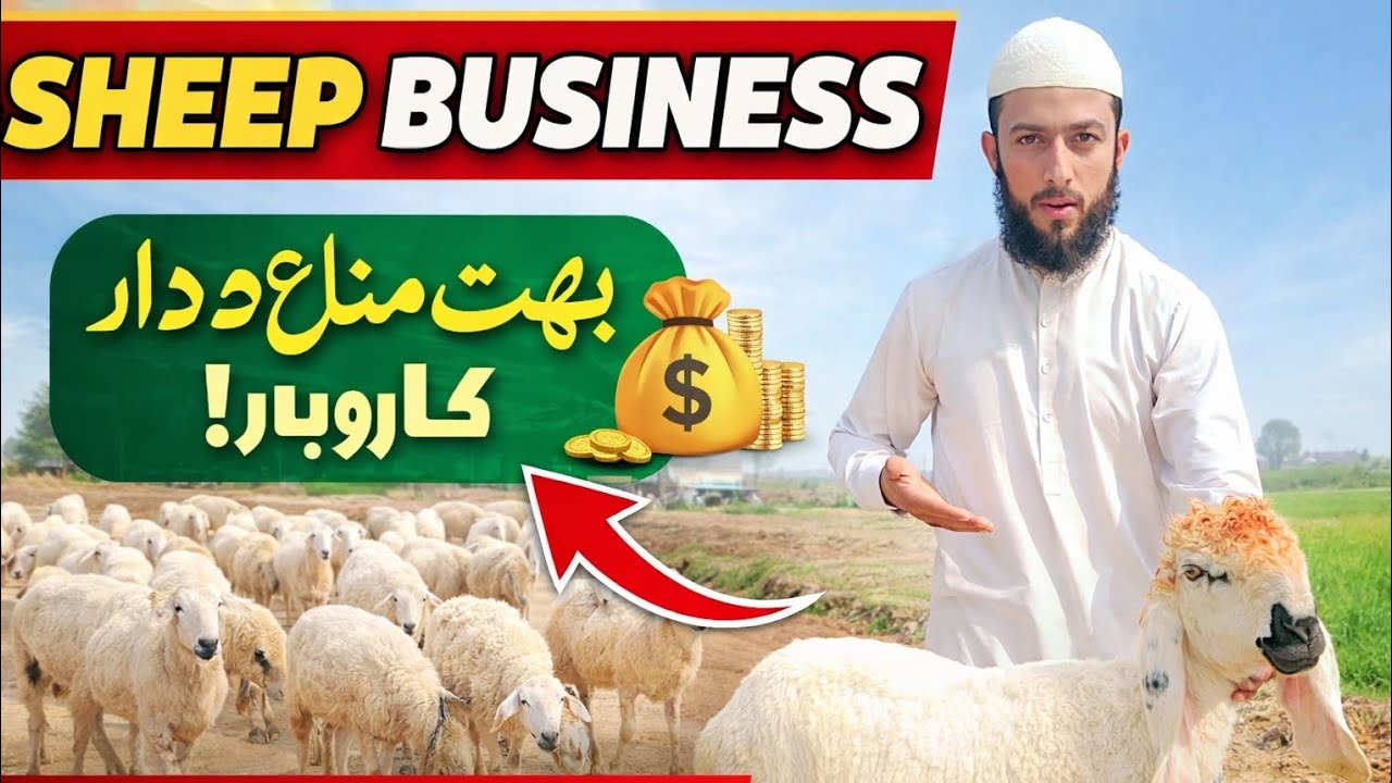 Business krna chahya Bai Jan💯💯💯💯❤️👍👍Kuch bra krna ka lya