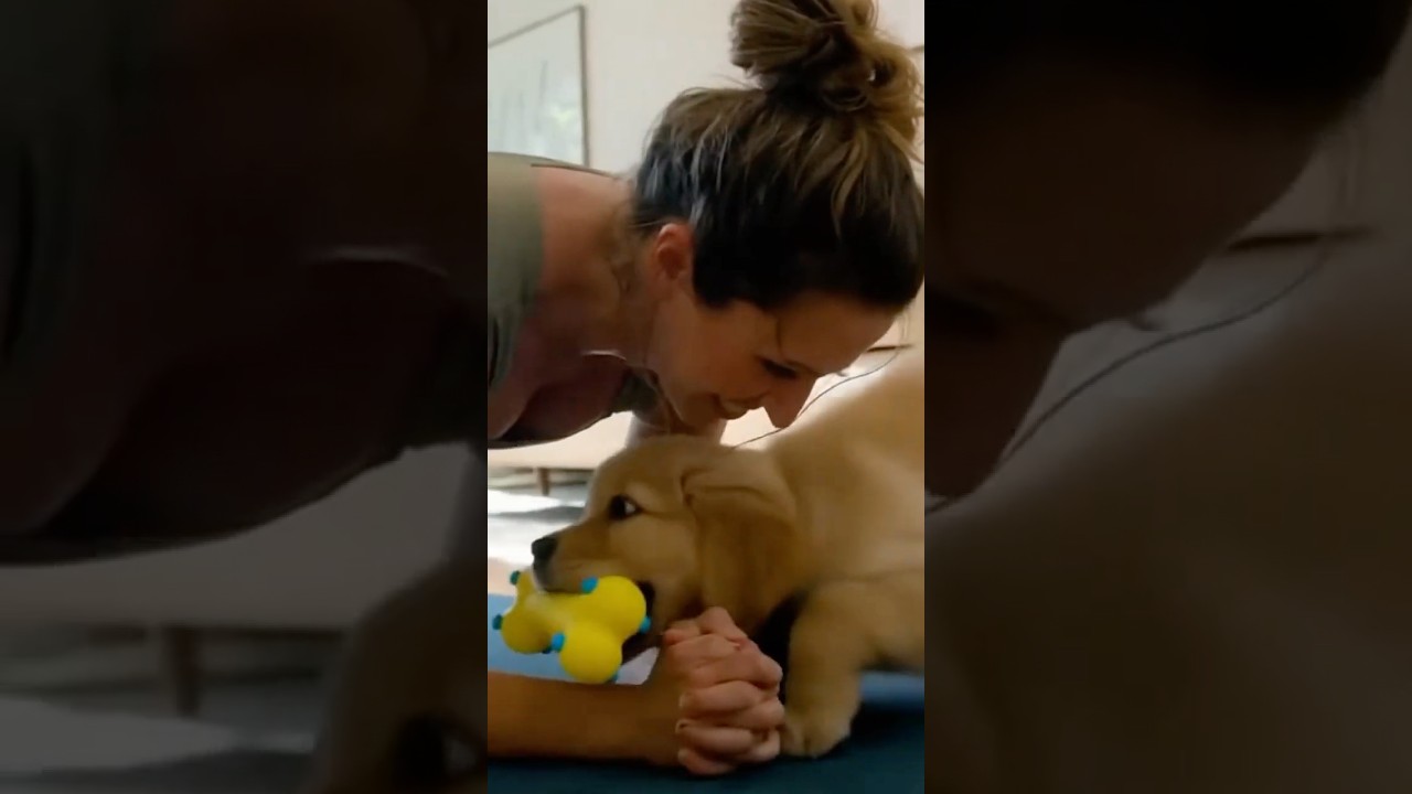 Funny Dog Stops a Workout Cold 😂🐶