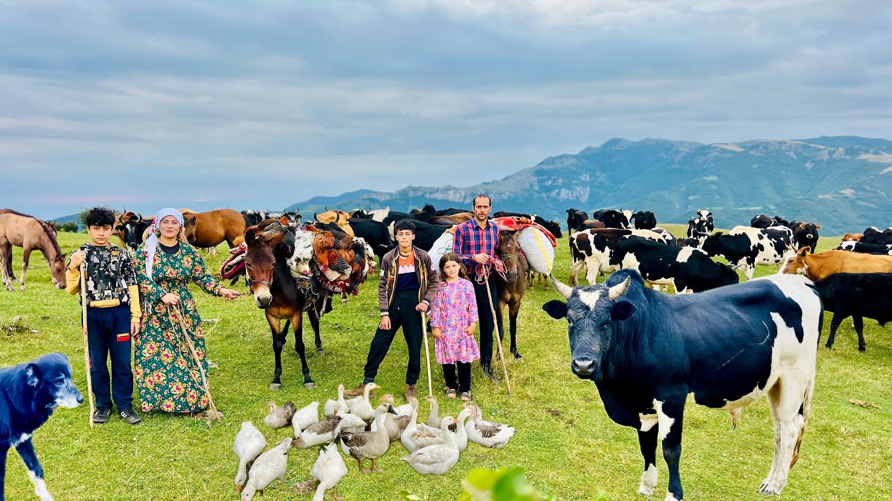 Epic Nomadic Migration Begins! The Most Beautiful Mountain Journey Ever!