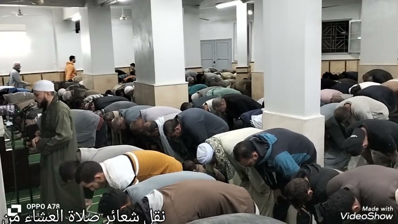 الشيخ محمد ابو جبل 