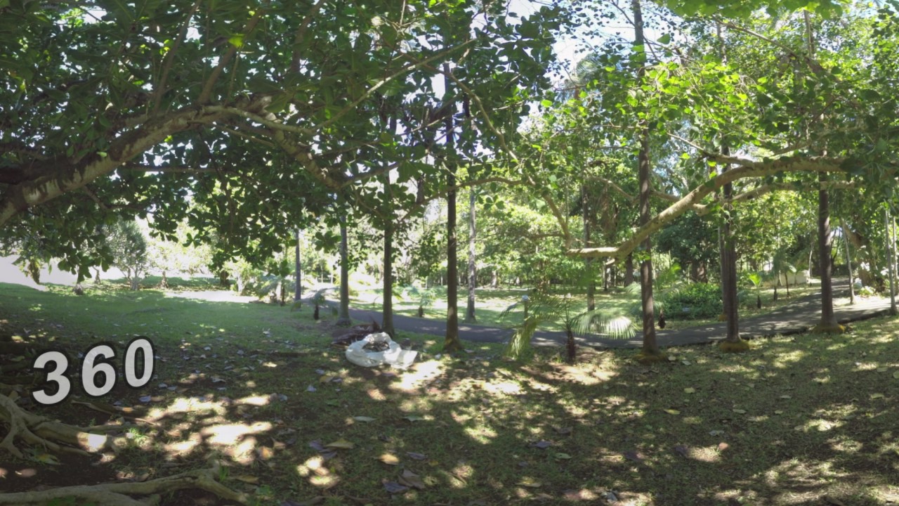 360 VR Green park in Mauritius on sunny day