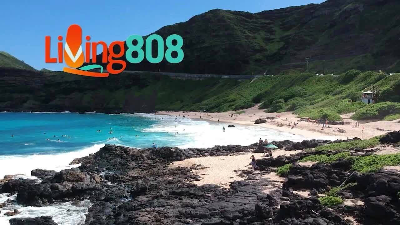 Uncle Sam's Creamy Cornbread