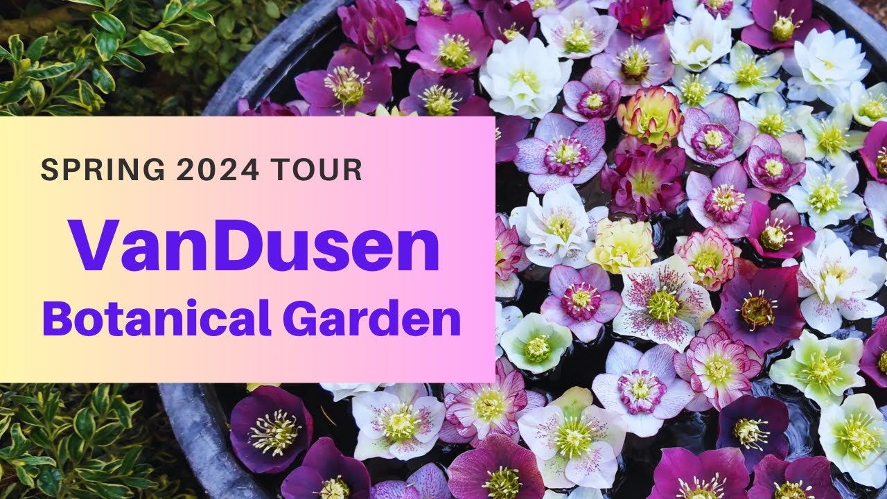 VanDusen Botanical Garden Tour Spring 2024