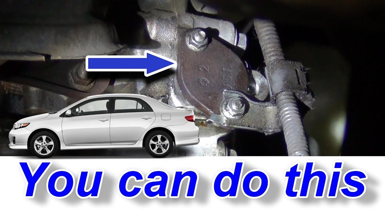 Toyota Corrolla Oil Leak You Can Fix Yourself SUPER COMMON