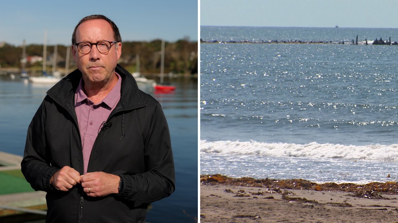 Atlantic Canada saw 'unprecedented' marine heat wave this summer