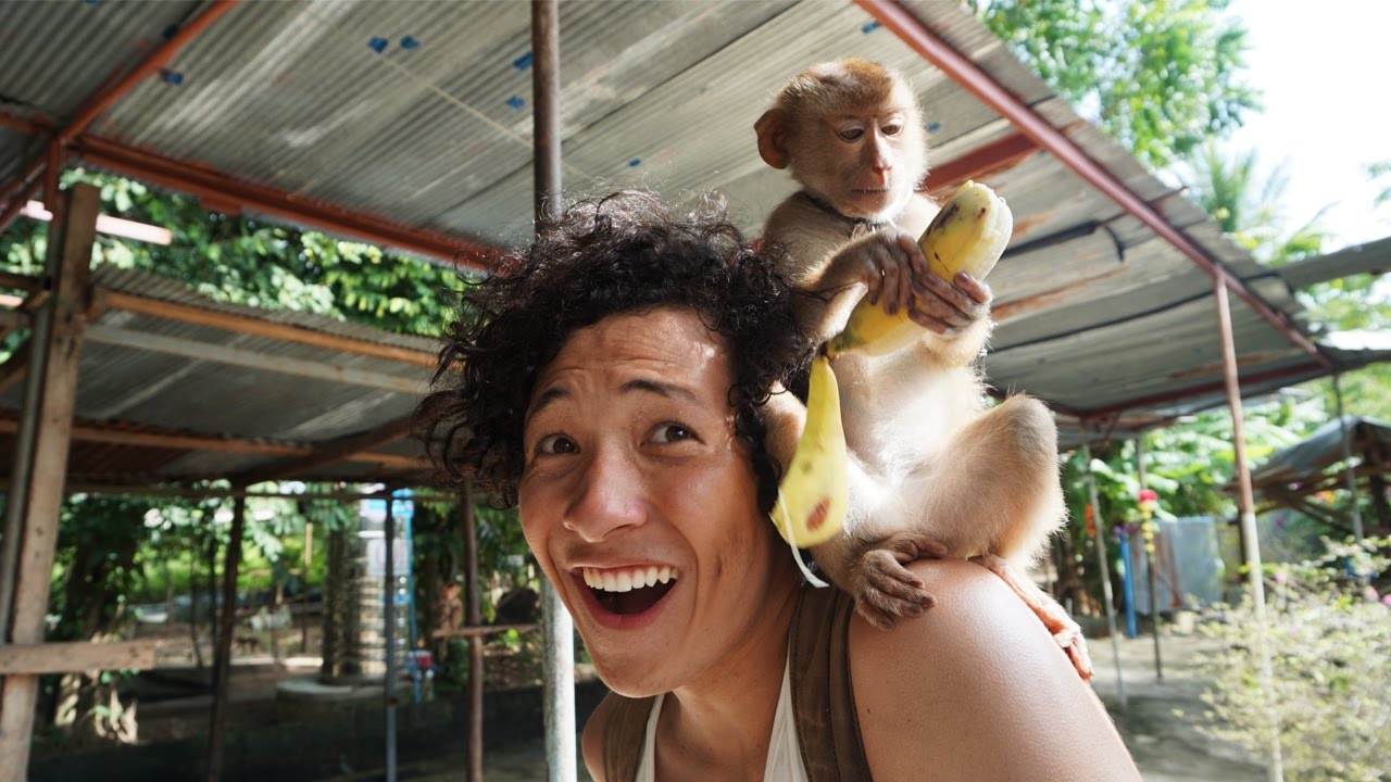 MACACOS ME MORDAM | TAILÂNDIA #4