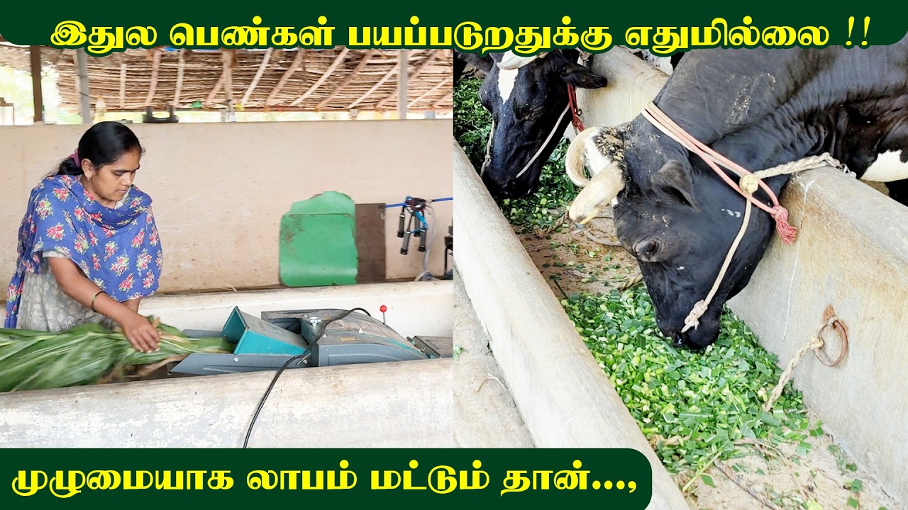 🐄 இந்த chaff cutter-ஐ யாராலும் use பண்ணலாம்! | Complete safety – பயம் வேண்டாம் 👍
