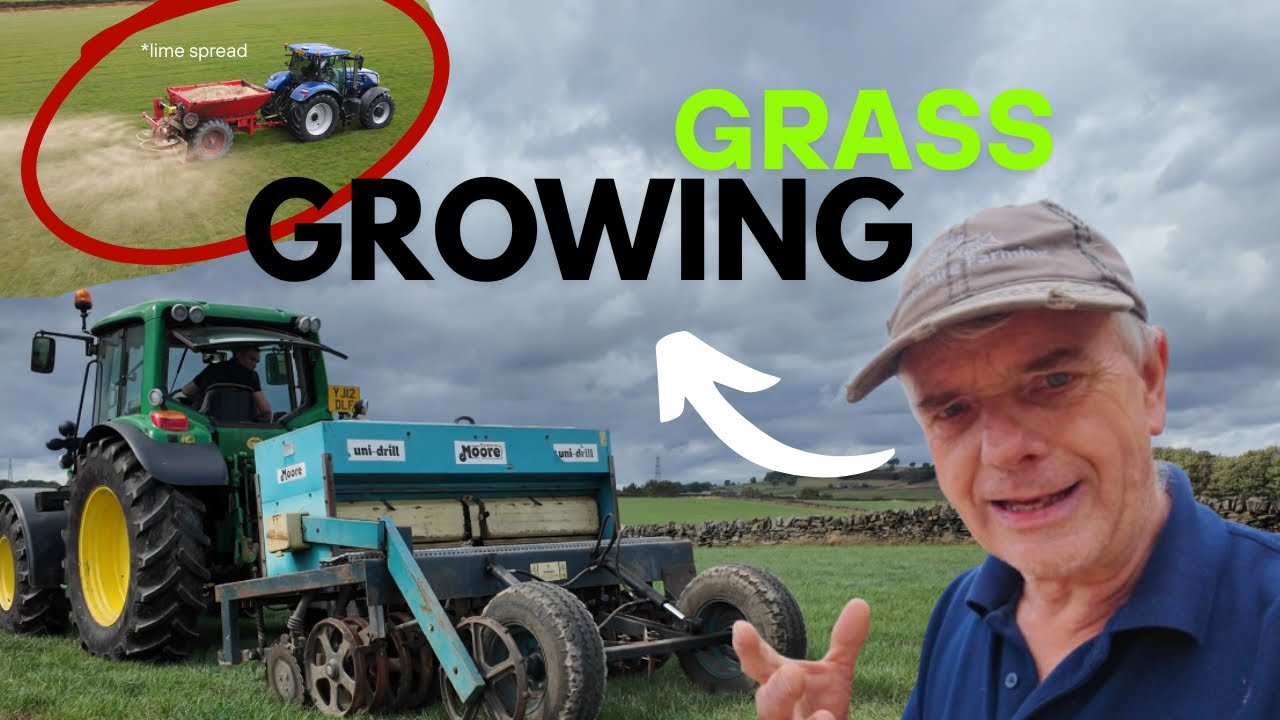 Can DIRECT SEED DRILLING Grass be worth it? - Exposing Submerged Bridge.