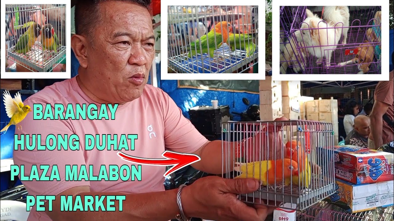 02/21/26 UPDATE PRICELIST DITO SA BARANGAY HULONG DUHAT PLAZA MALABON PET MARKET 💯 🐈🐕🐦