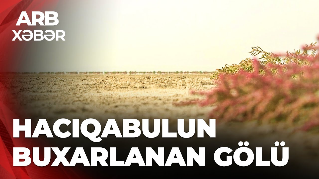 ARB XƏBƏR - Hacıqabul gölü tamamilə quruyub - Səbəb nədir?