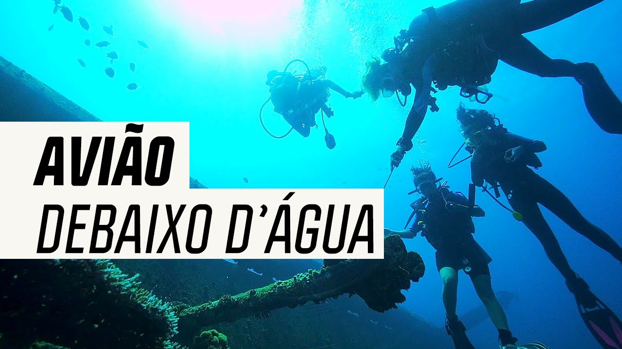 Explorando um avião que afundou no Mar Vermelho | No Deserto Com Meu Pai| Canal OFF