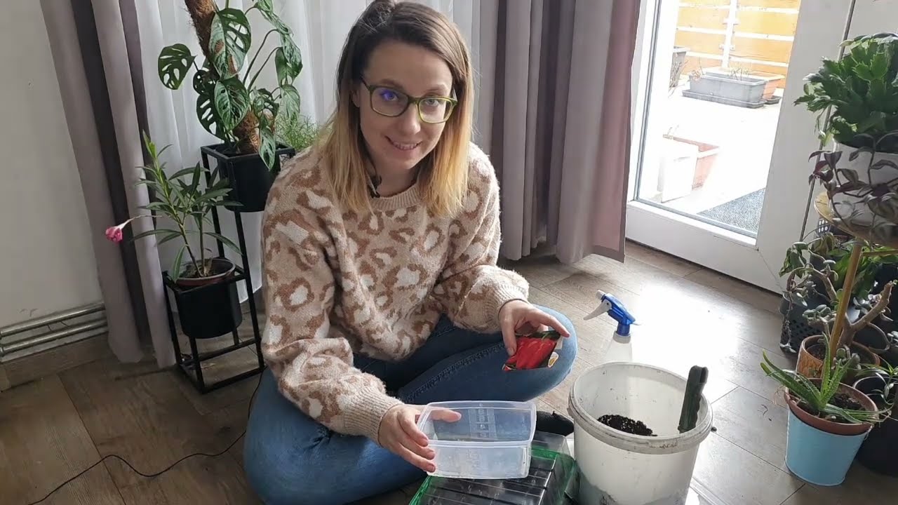 Paprika mag csíráztatása: sokkal egyszerűbb ezzel a trükkel