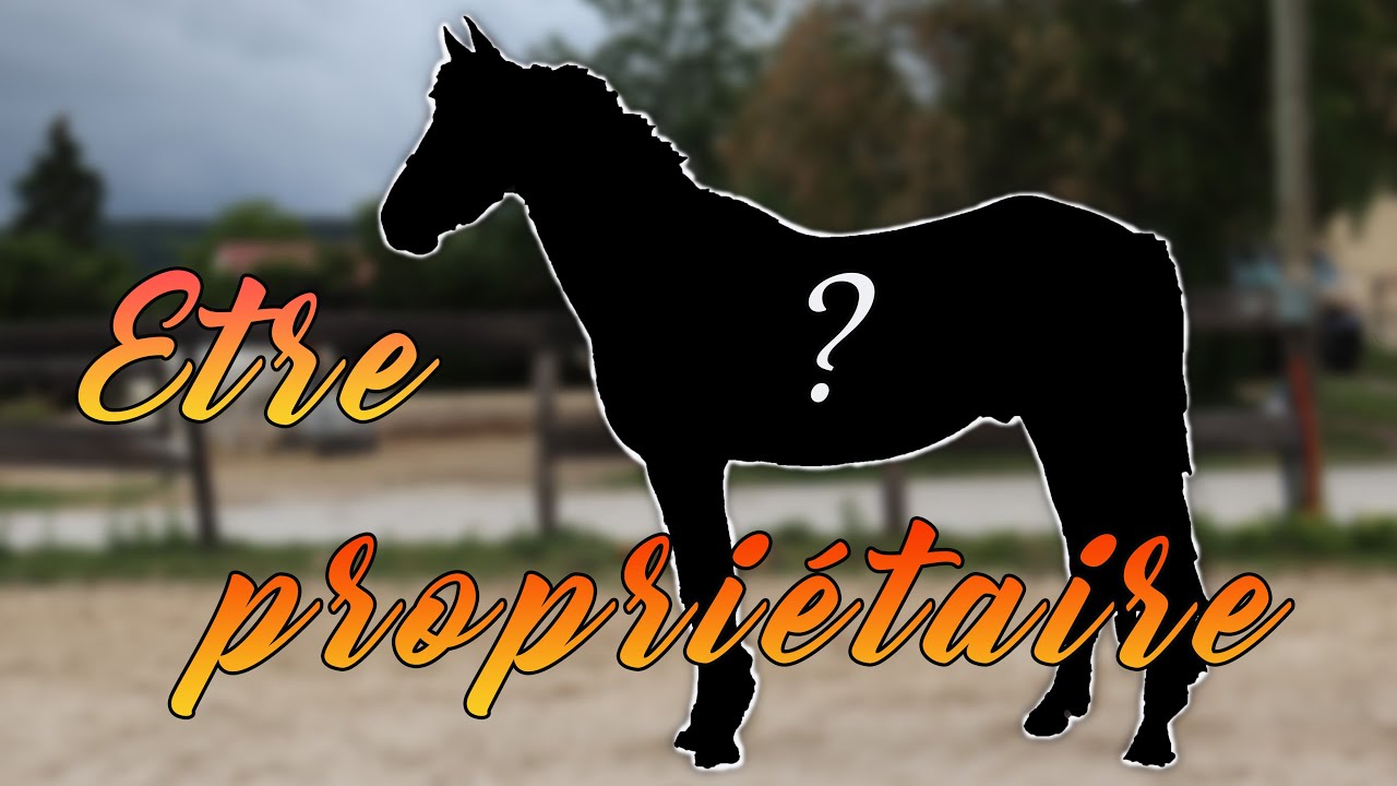 Conseils pour acheter son premier cheval