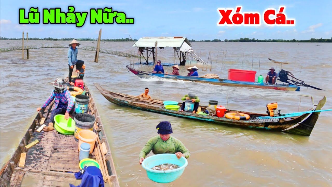 Lũ NHẢY khỏi bờ