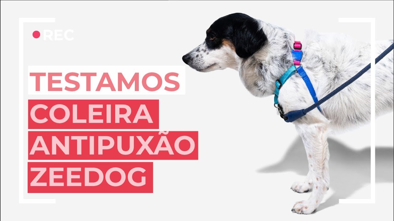 Coleira peitoral anti-puxão da zeedog (easy walk)