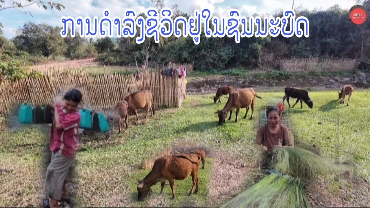 ການດຳລົງຊີວິດຢູ່ໃນຊົນນະບົດ