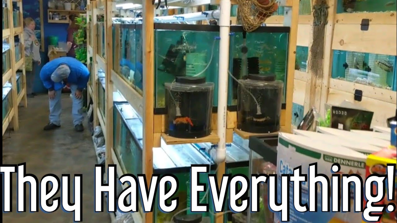 Local Fish Store Tour - The Waters Edge Aquarium