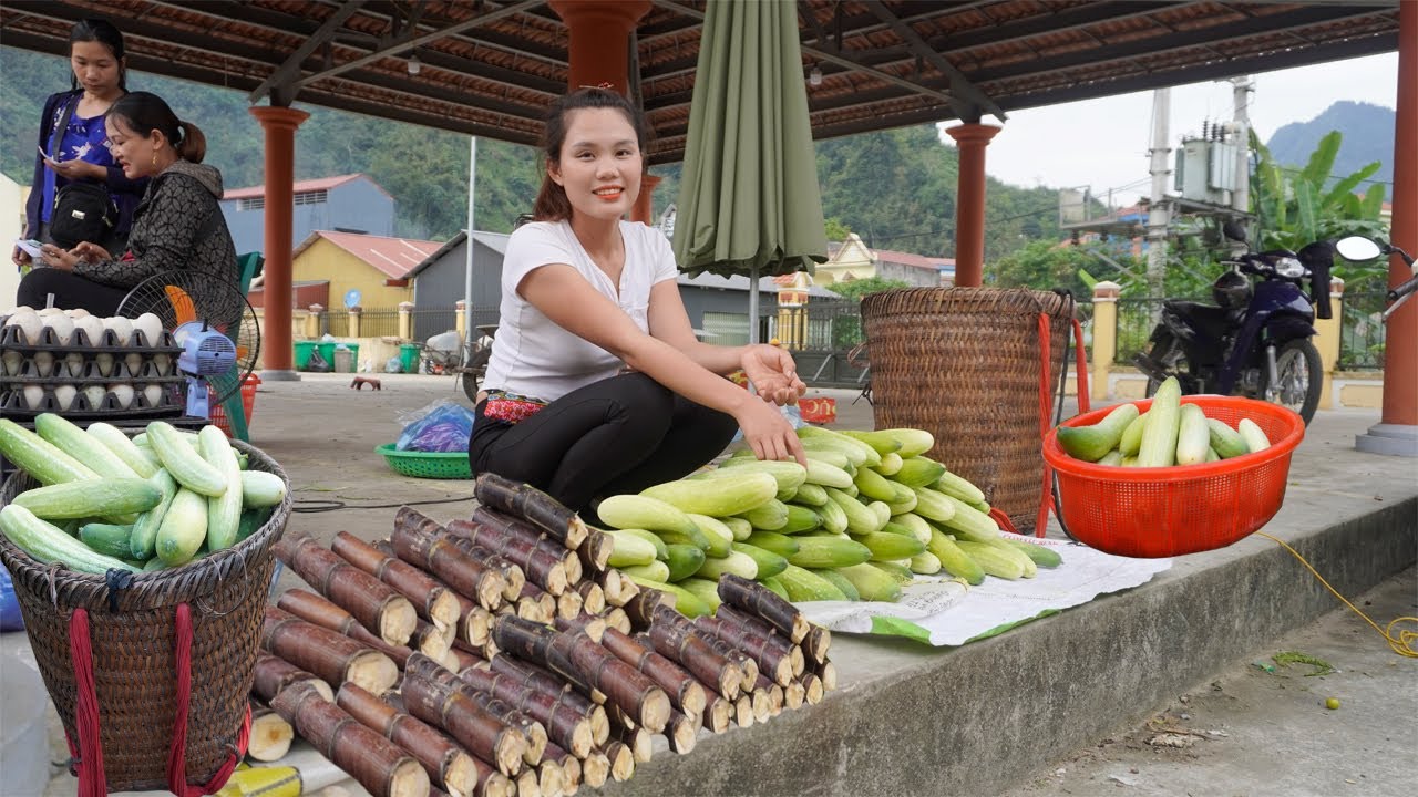 65 DAYS:  Harvesting Plum - Chili - Cucumber Garden - Corn - Sugarcane - Go to the Market Sell.