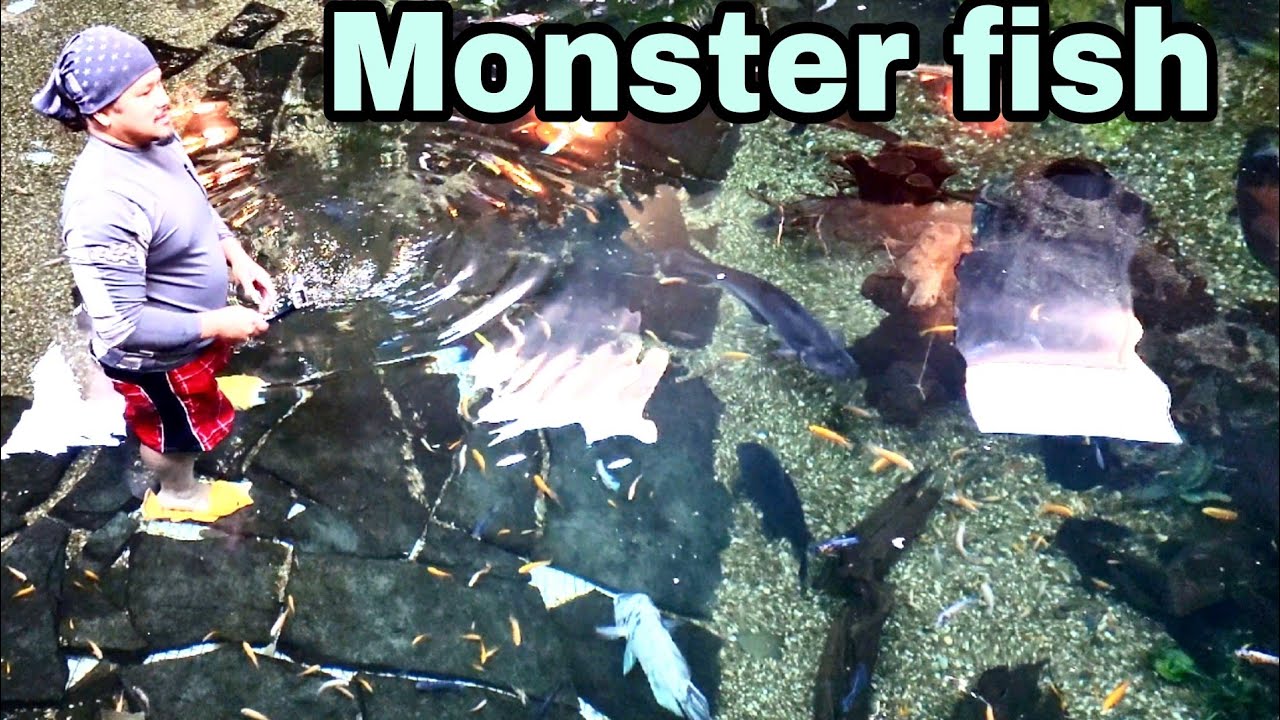 Sam Scales - fishing for arapaima in the 58,000 mega pond