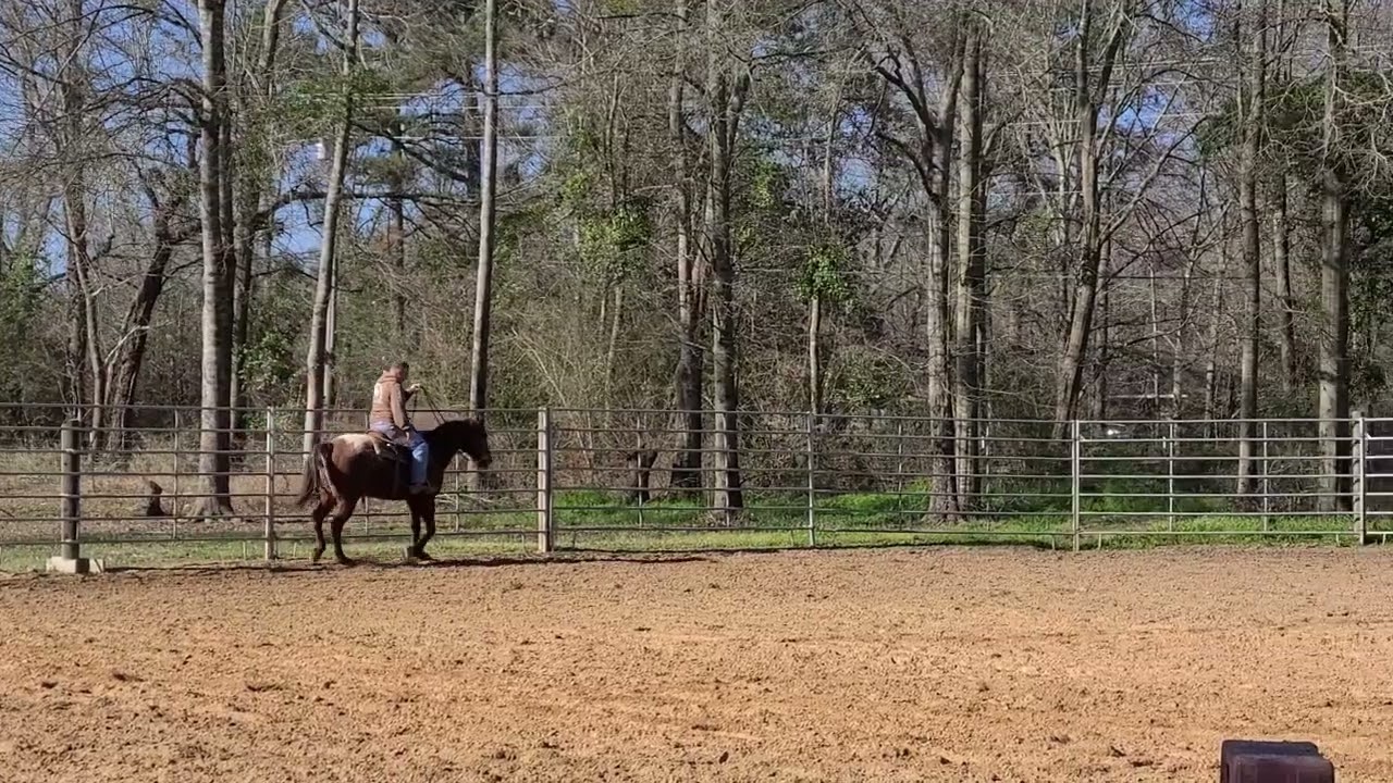 Whilly 1 handed frame