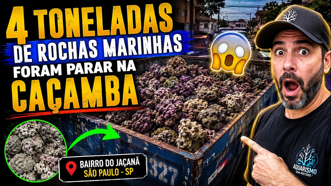 4 TONELADAS DE ROCHAS PARA #AQUARIO DESCARTADAS EM CAÇAMBA NO BAIRRO DO JAÇANÃ EM SÃO PAULO - SP