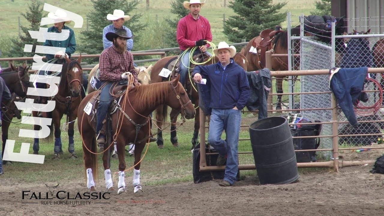 Fall Classic Rope Horse Futurity - Heel Horse Round 1- 2018