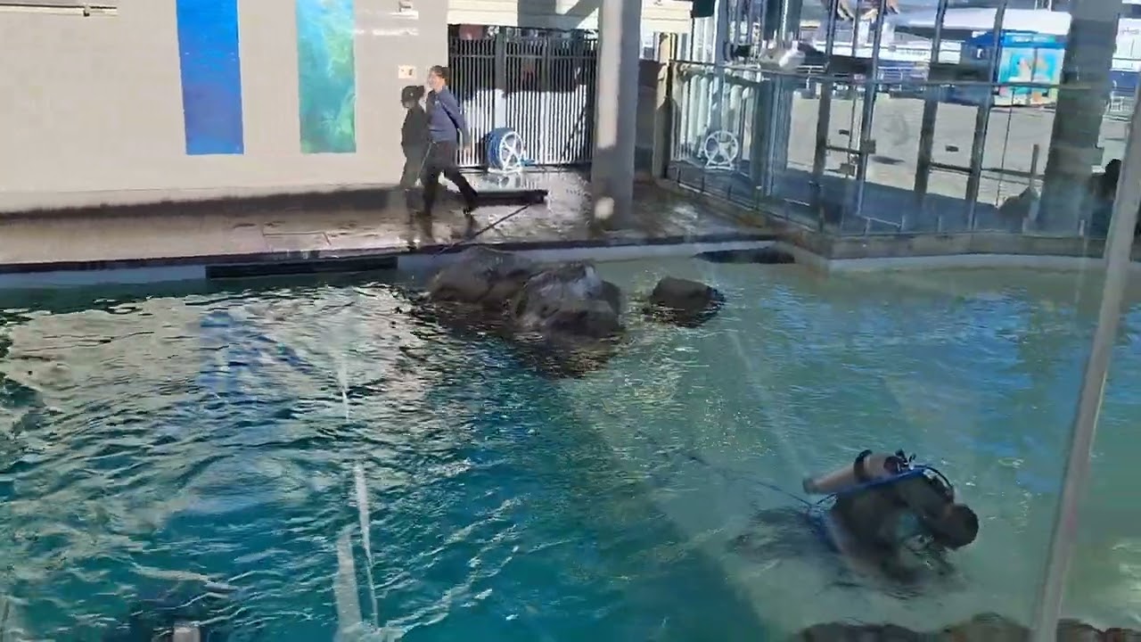 New England Aquarium Museum - Mamals