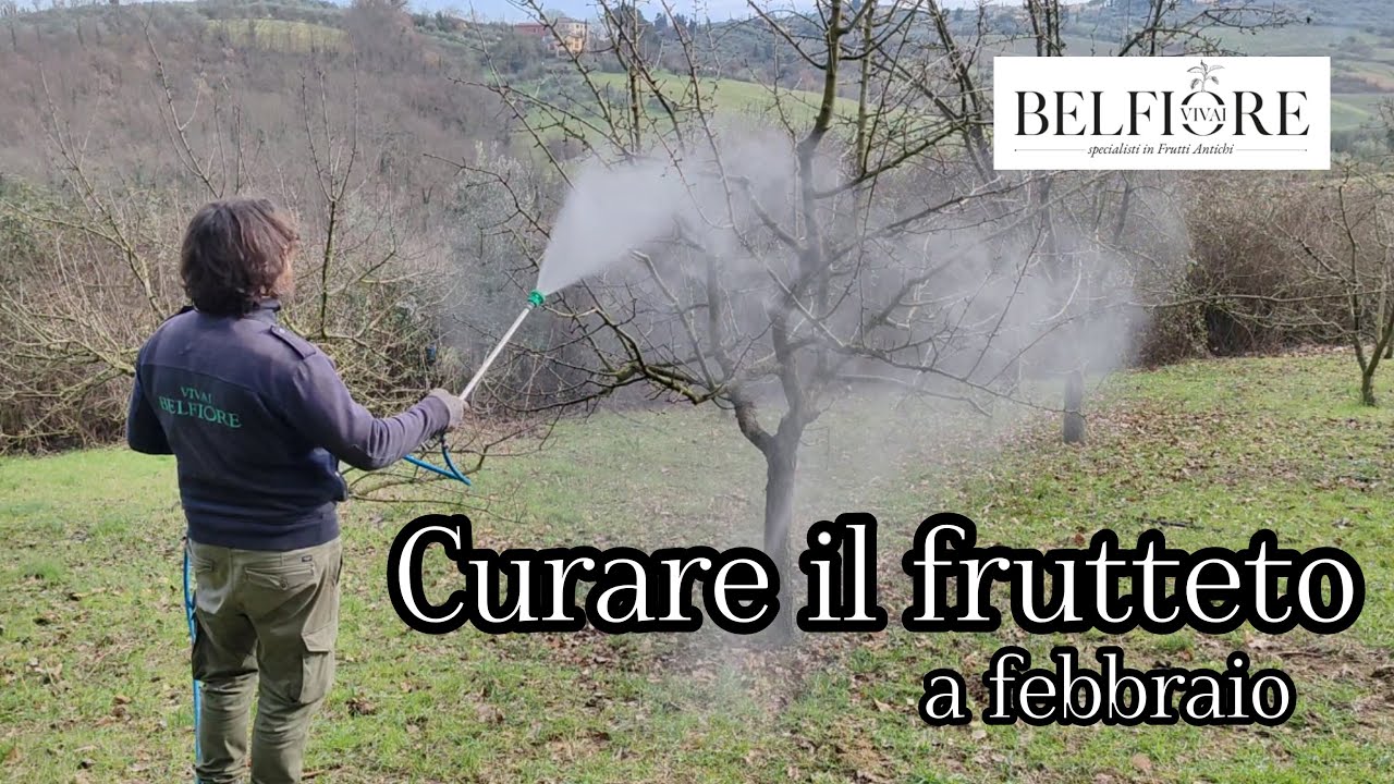 Curare il frutteto a Febbraio