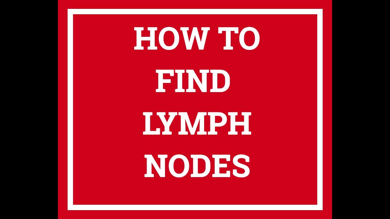 How to find lymph nodes on dogs