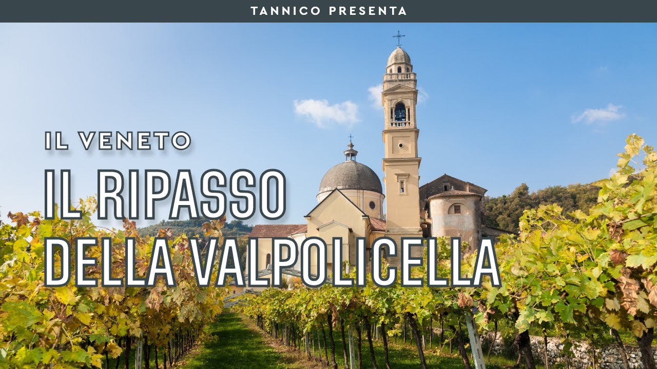I segreti del Ripasso della Valpolicella | Tannico Flying School
