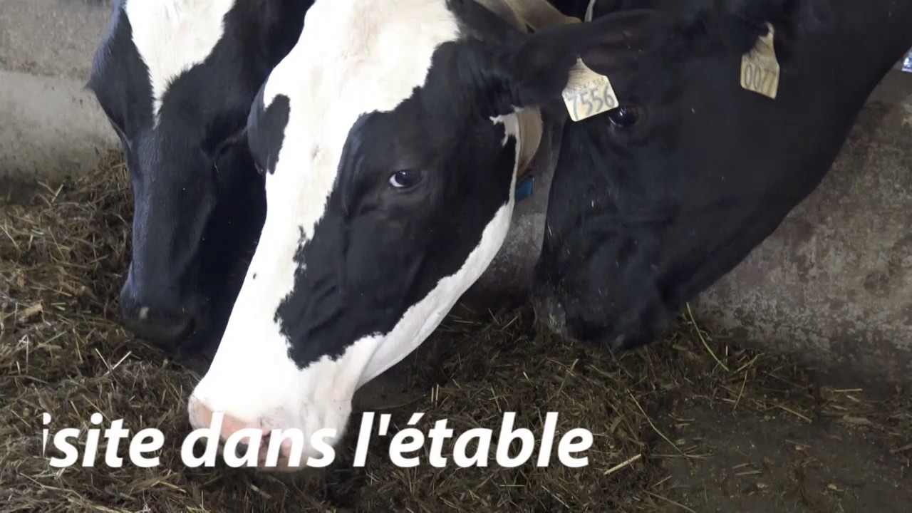 INPACQ &agrave; la ferme 2016