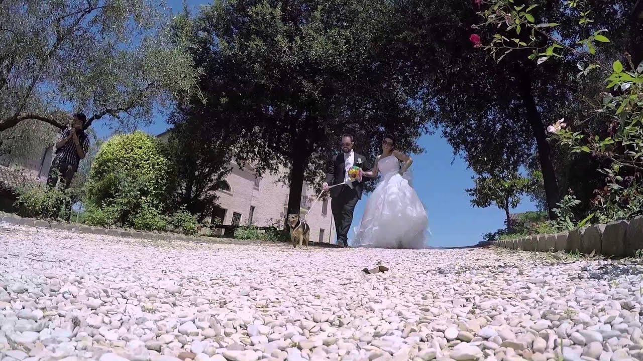 Nisida una cucciola alle nozze dei suoi padroncini! Gopro video cane