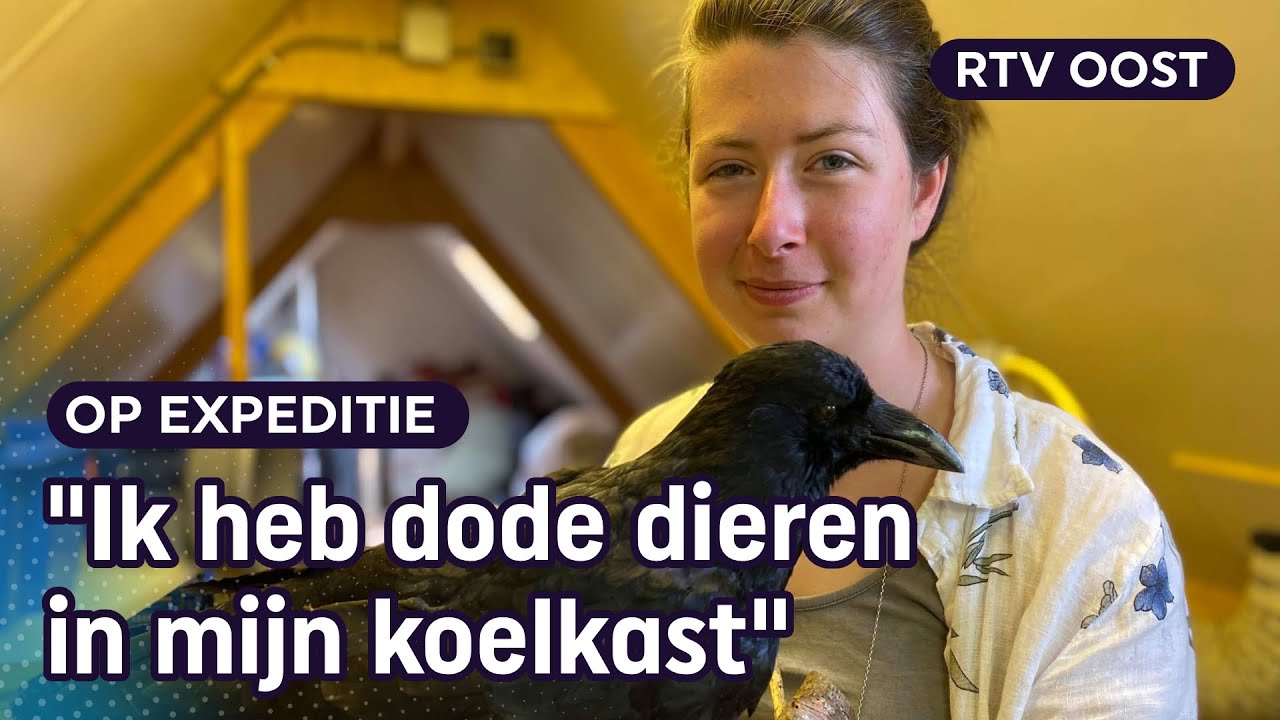 Prepareren: Yana (20) is dol op het opzetten van dieren | RTV Oost